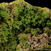 Pyromorphite