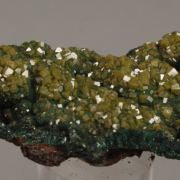 Pyromorphite on Malachite