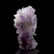 Amethyst / Amethystflower – Irai, Rio Grande do Sul, Brazil