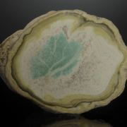 Variscite half nodule with Crandallite and Wardite