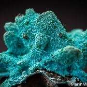 Chrysocolla ps. after Selenite(?)
