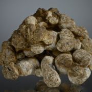 Meteorite - Pallasite with Magnetite - unusual