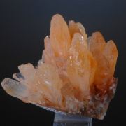 Creedite