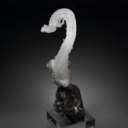 GYPSUM rams horn