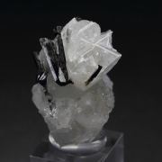 gemmy EPIDIDYMITE, AEGIRINE