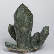 Quartz (variety prase) with Andradite