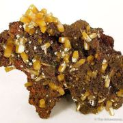 Wulfenite With Calcite