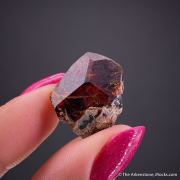 Chondrodite