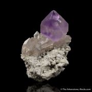 Amethyst scepter on Quartz