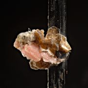 Serandite on Aegirine with Polylithonite, Leucophanite