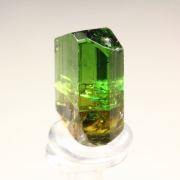 gem TOURMALINE var. DRAVITE
