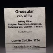 colorless GARNET var. GROSSULAR, DIOPSIDE floater