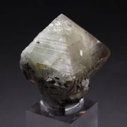 gemmy WARDITE, EOSPHORITE