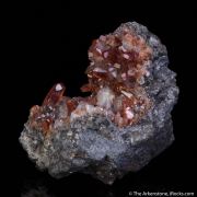 Rhodochrosite with Fluorite on Quartz