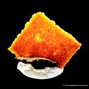 Vanadinite ps. Wulfenite