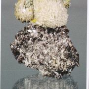 Stokesite with Cookeite on Lepidolite (illustrated)