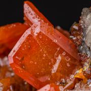 Wulfenite