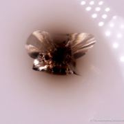 Quartz sphere with Thorite inclusion