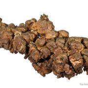 Copper (several generations)