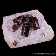 Fluor-liddicoatite (Tourmaline) on Microcline
