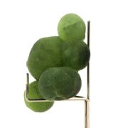 Prehnite. 389.5 ct.