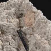 Bixbyite, Pseudobrookite & Topaz
