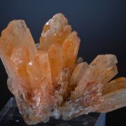 Creedite