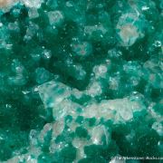 Dioptase on Calcite