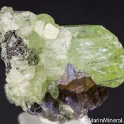 Tanzanite with Diopside