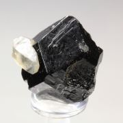 TOURMALINE var. DRAVITE, QUARTZ