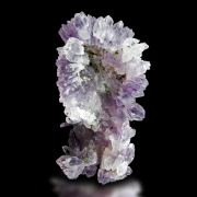 Amethyst / Amethystflower – Irai, Rio Grande do Sul, Brazil