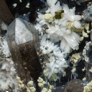 Bertrandite with Quartz (variety smoky) and Pyrite