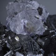 Fluoritre on Schorl and Quartz with Goshenite (Beryl)