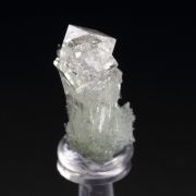 colorless gem GARNET var. GROSSULAR, DIOPSIDE