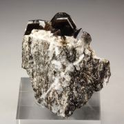 twinned ALBITE with STILPNOMELANE inclusions