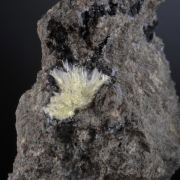 Boltwoodite