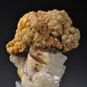 Mimetite var Campylite- classic locale