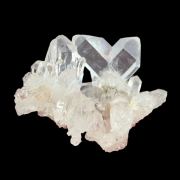 Quartz – Japan Law Twin – Fairy Wings
