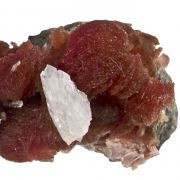 Inesite