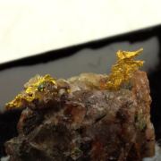 Native Gold. 9.95 ct.