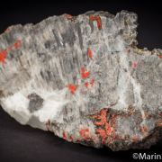 Realgar and Orpiment replacing fossil coral