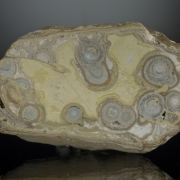Variscite with Crandallite and Wardite - classic US