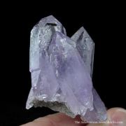 Quartz Var. Amethyst