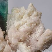 Indicolite on Albite