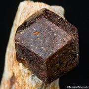 Almandine