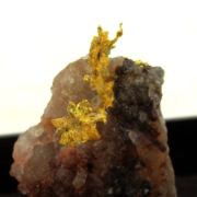 Native Gold. 11.80 ct.