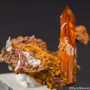 Wulfenite