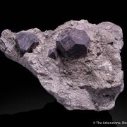 Hauerite (illustrated)
