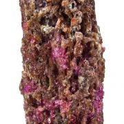 Painite with Corundum