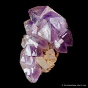 Quartz var. Amethyst on Quartz